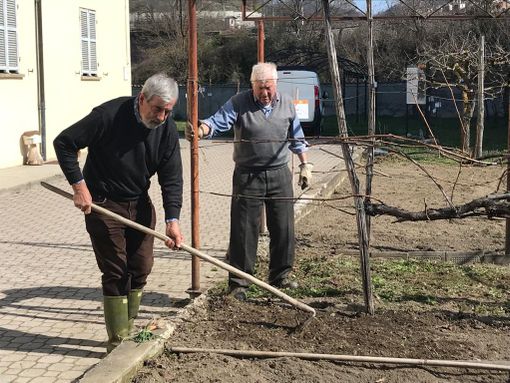 +Api, anche quest'anno Gruppo micologico e Comune di Ceva in campo per la biodiversità