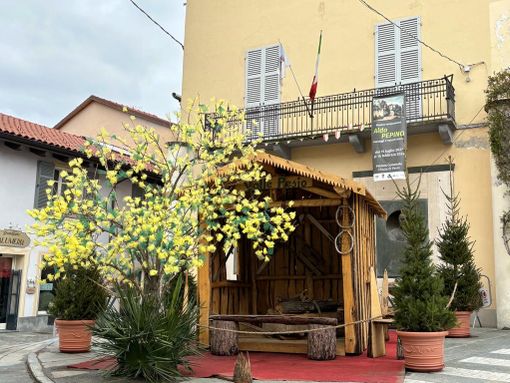 Chiusa di Pesio, un albero di fiocchi in vista dell'8 marzo