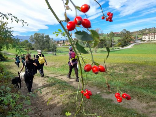 Nel monregalese il Canile 281 ha camminato per gli animali Nel monregalese il Canile 281 ha camminato per gli animali