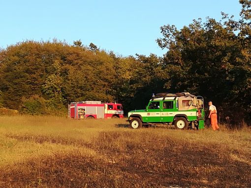 Saliceto, a fuoco una porzione di bosco: sul posto vigili del fuoco di Ceva e Mondovì e AIB locali Saliceto, a fuoco una porzione di bosco: sul posto vigili del fuoco di Ceva e Mondovì e AIB locali