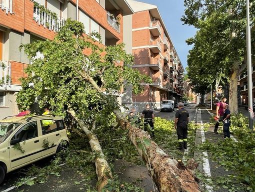 Il mese di luglio si era aperto con la tromba d'aria che investì diverse zone della provincia e Alba in particolare. Le precipitazioni degli ultimi giorni non hanno rimediato al grave gap registrato in Piemonte da inizio anno Il mese di luglio si era aperto con la tromba d'aria che investì diverse zone della provincia e Alba in particolare. Le precipitazioni degli ultimi giorni non hanno rimediato al grave gap registrato in Piemonte da inizio anno
