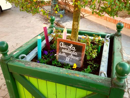 Adotta un'aiuola torna anche nel 2016: Ceresole d'Alba pronta per essere curata e abbellita