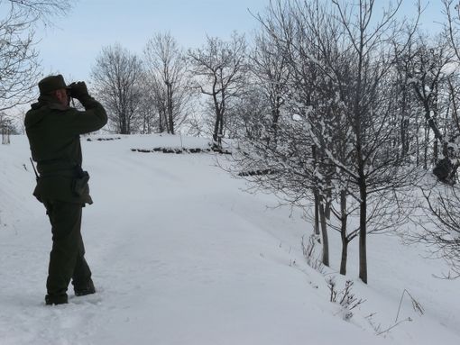 Il Parco del Monviso cerca un guardiaparco