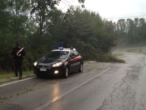 Alcune immagini che testimoniano la violenza del nubifragio di oggi a Benevagienna (©targatocn)