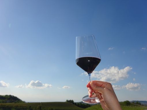 Bra, una cena speciale per la presentazione della Guida Slow Wine 2024