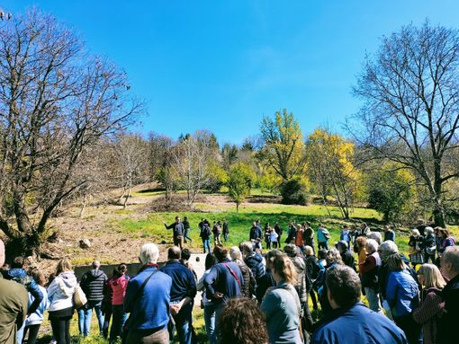 Nuova vita per il Bosco della Nova, il bosco urbano 'segreto' di Mondovi Piazza
