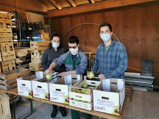 Istituto Tecnico Agrario di Cuneo: attività in azienda didattica e ultima scuola aperta