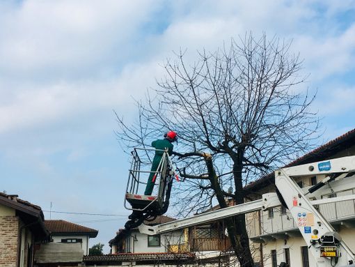 Le operazioni di manutenzione delle aree verdi
