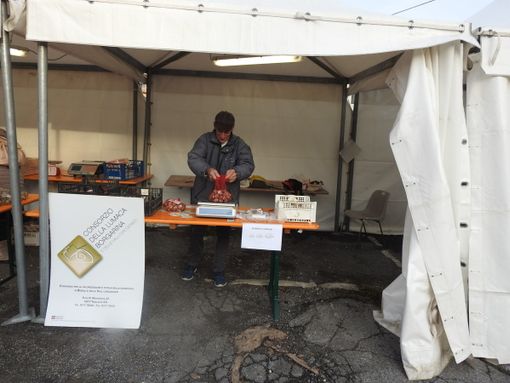 Borgo San Dalmazzo, l'appello del Consorzio della chiocciola: "Anche per il nostro prodotto difficoltà nella commercializzazione"