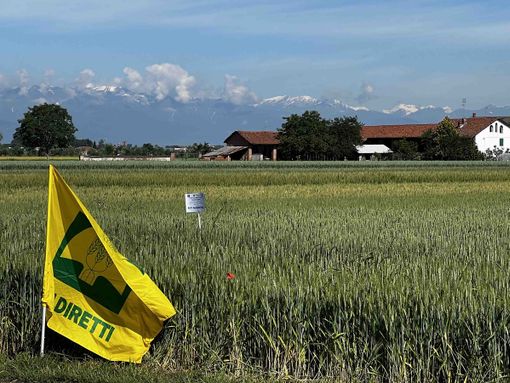Weekend di buon cibo, laboratori esperienziali e fiori per le mamme con Coldiretti Cuneo