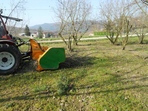 Cravanzana: dimostrazione di gestione dei residui derivata dalla potatura di un noccioleto