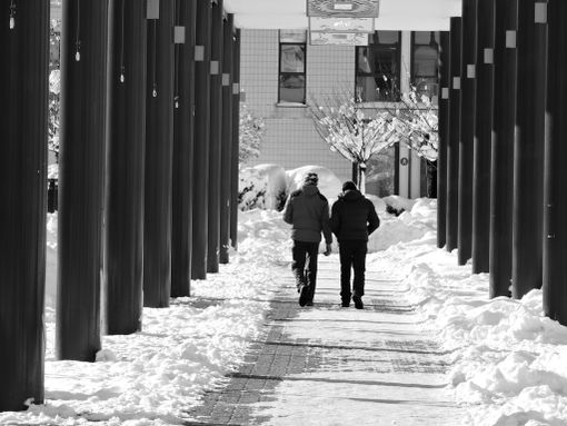 Piazza della Costituzione di Cuneo