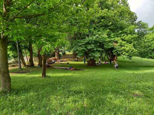 Un bosco di Dronero, immagine di repertorio Un bosco di Dronero, immagine di repertorio