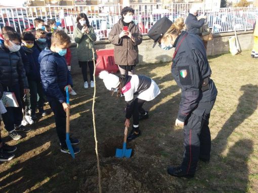 Giornata nazionale dell'albero: 16 istituti scolastici della Granda hanno festeggiato con i carabinieri forestali