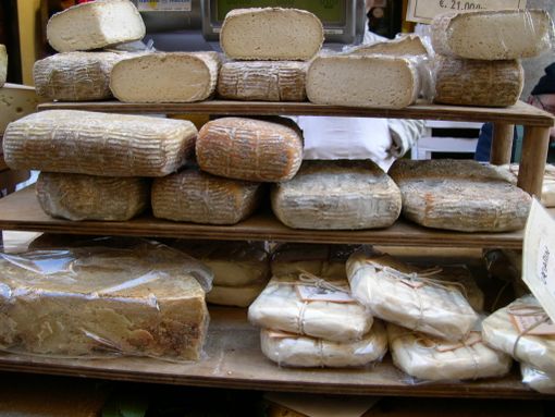 Arriva a Cuneo "Io vivo sano", la mostra della Fondazione Umberto Veronesi