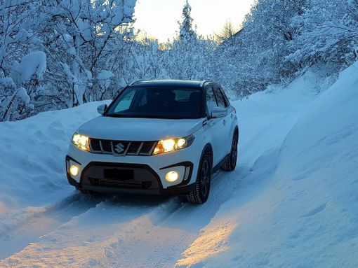 Nevicate abbondanti? Temperature glaciali siberiane Nevicate abbondanti? Temperature glaciali siberiane