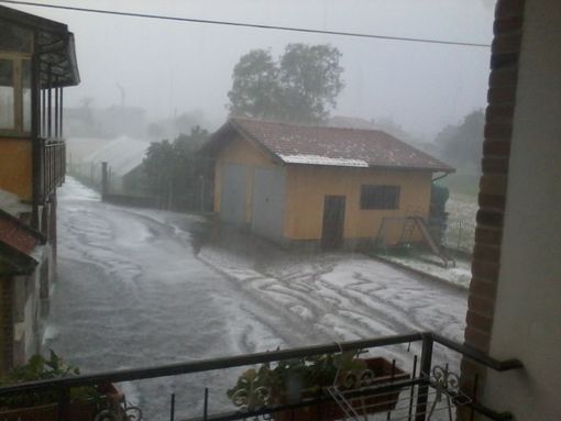 Ringraziamo Veronica per le foto