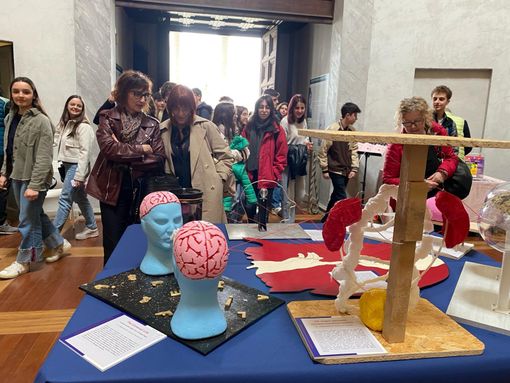 Savigliano, gli studenti dell'istituto Arimondi-Eula e la partecipazione al progetto Art&Science Savigliano, gli studenti dell'istituto Arimondi-Eula e la partecipazione al progetto Art&Science