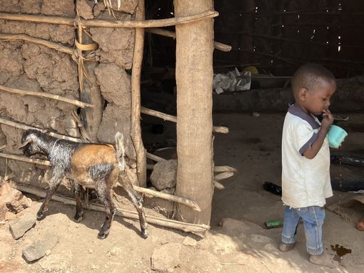 Il racconto di una volontaria in Tanzania: "Dopo un viaggio così, non si può tornare alla vita di tutti i giorni" Il racconto di una volontaria in Tanzania: "Dopo un viaggio così, non si può tornare alla vita di tutti i giorni"