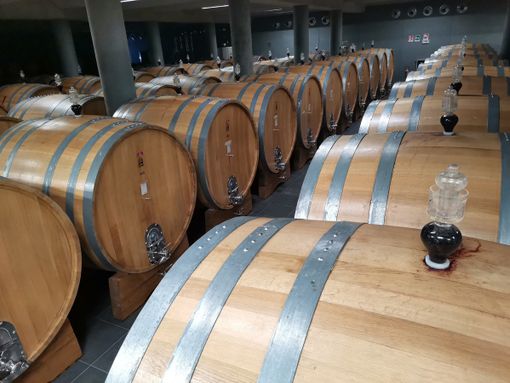 La cantina "Terre del Barolo" premiata come miglior cooperativa vinicola italiana dalla rivista tedesca Weinwirtschaft