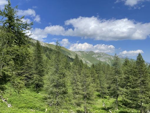 Briga Alta si prepara all'evento cicloturistico "Salita al Bosco delle Navette"
