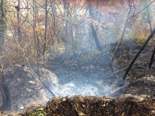 Incendio al parco Grandis di Borgo San Dalmazzo, impegnati due elicotteri (FOTO) Incendio al parco Grandis di Borgo San Dalmazzo, impegnati due elicotteri (FOTO)