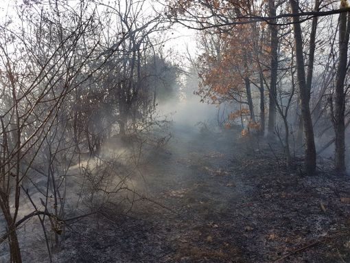 Immagine di repertorio