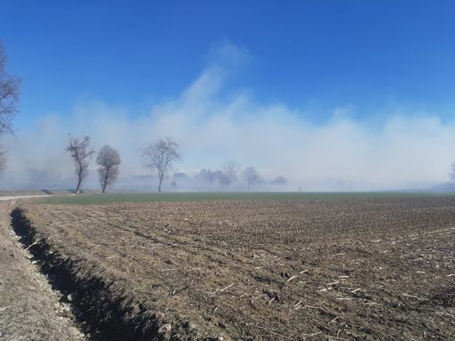 I campi di mais in fiamme