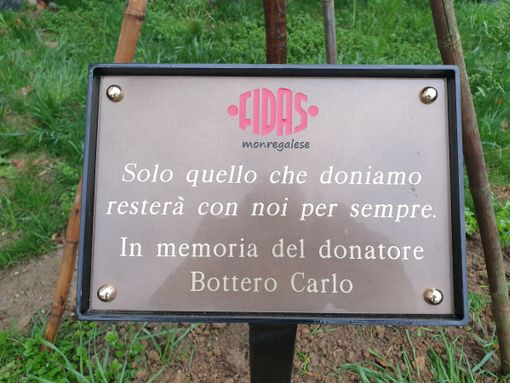 Dalla Fidas Monregalese  un albero e una targa per ricordare Carlo Bottero