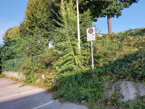 Borgo San Dalmazzo, lavori di manutenzione straordinaria del verde nell’area sportiva di via Matteotti Borgo San Dalmazzo, lavori di manutenzione straordinaria del verde nell’area sportiva di via Matteotti