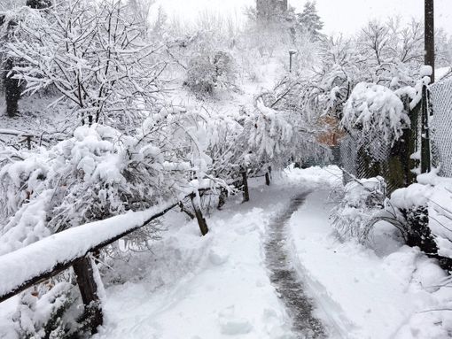 Quaranta (Acda): "Questa neve è preziosa, ma l'allarme resta alto" Quaranta (Acda): "Questa neve è preziosa, ma l'allarme resta alto"
