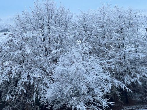 Per la Befana torna la neve in Granda: domani mattina precipitazioni moderate diffuse Per la Befana torna la neve in Granda: domani mattina precipitazioni moderate diffuse