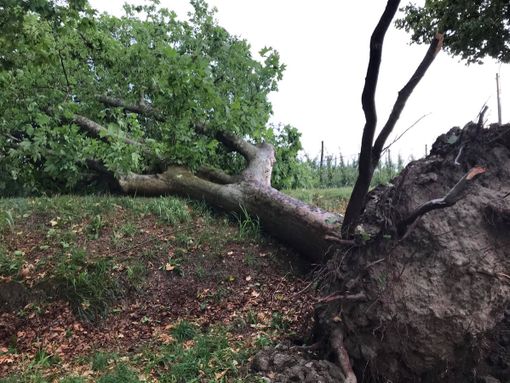 Le immagini che ci giungono da Fossano, Savigliano e Piozzo Le immagini che ci giungono da Fossano, Savigliano e Piozzo