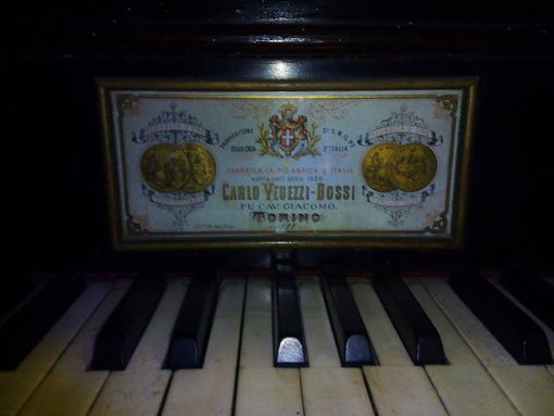 Un concerto per valorizzare lo storico organo di Priero Un concerto per valorizzare lo storico organo di Priero