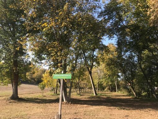 Pocapaglia, festa nel parco per la rinascita di Montalupa Pocapaglia, festa nel parco per la rinascita di Montalupa