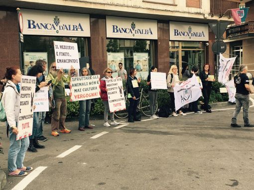 Alba, via al Palio degli Asini: in Piazza Cagnasso anche un presidio animalista