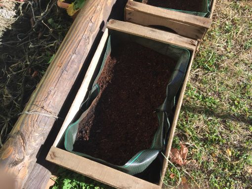 Alcune immagini dell'iniziativa