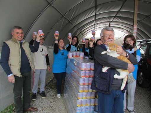 Cani e Gatti protagonisti davanti alla macchina fotografica