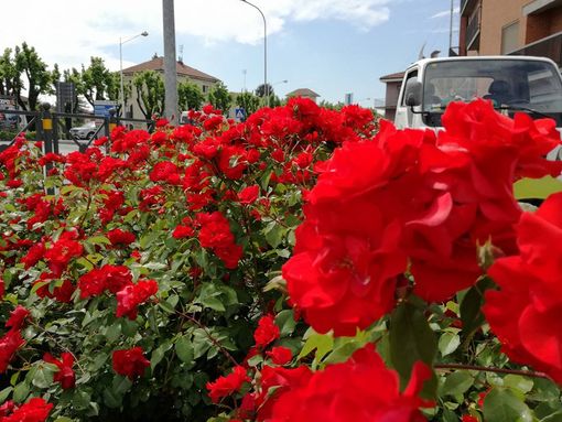 Il verde aiuta a staccare dalle tensioni negative