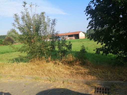 Cavallermaggiore, la minoranza scrive al sindaco: "Il paese è degradato" Cavallermaggiore, la minoranza scrive al sindaco: "Il paese è degradato"