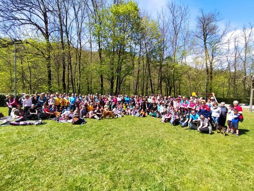 La Viasolada di Peveragno torna (e diventa maggiorenne) La Viasolada di Peveragno torna (e diventa maggiorenne)