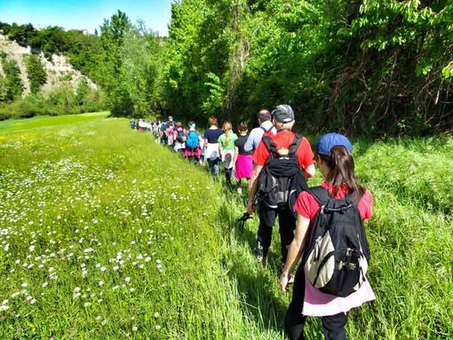 Immagine di repertorio