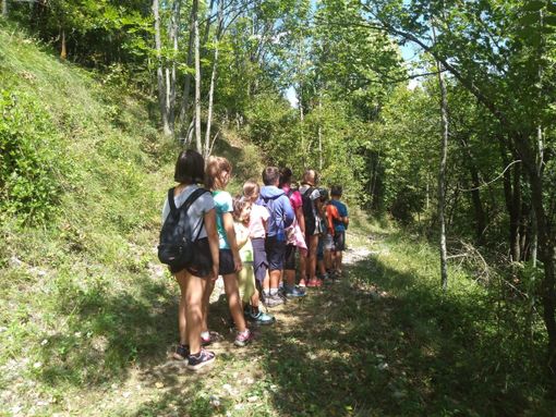 Foto di Monica Dalmasso