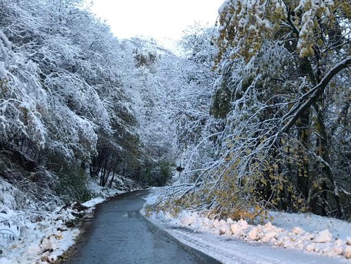 Immagine di repertorio Immagine di repertorio