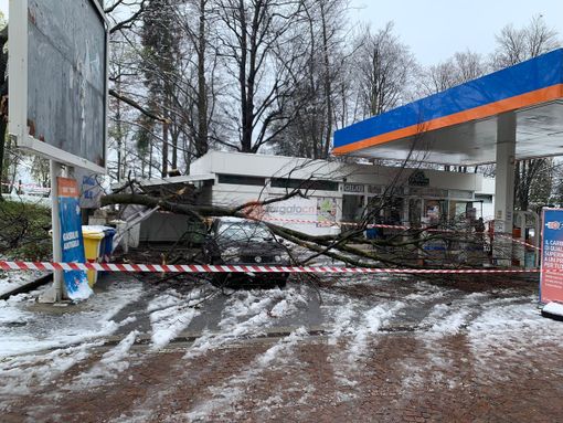 Albero si schianta su un'auto e sulla tettoia del distributore di corso Monviso a Cuneo Albero si schianta su un'auto e sulla tettoia del distributore di corso Monviso a Cuneo