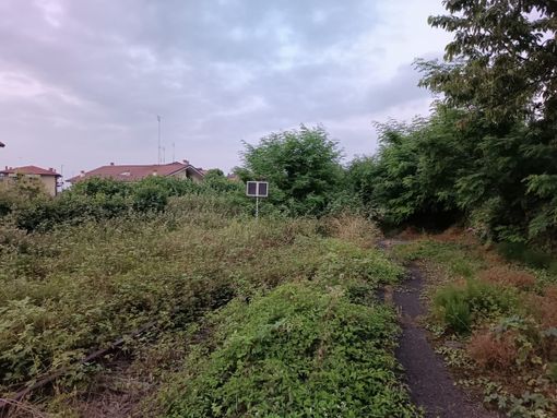 Degrado sempre più evidente sulla ex linea Cuneo-Mondovì, il sindaco Busciglio: "Una situazione condannata a rimanere tale"