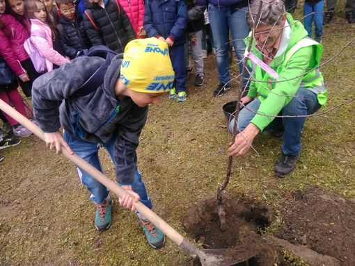 Le immagini dell giornata