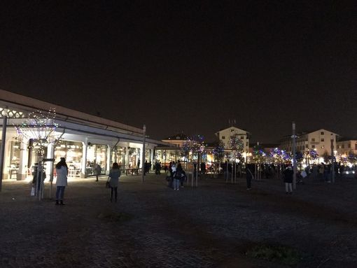 L'Open Baladin Cuneo accende il Natale illuminando i 130 alberelli di piazza Foro Boario L'Open Baladin Cuneo accende il Natale illuminando i 130 alberelli di piazza Foro Boario