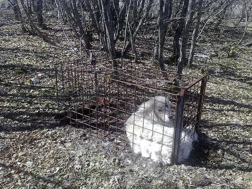 Immagine di repertorio Immagine di repertorio