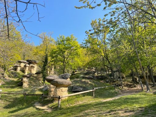 Riapre sabato la Riserva Naturale Ciciu del Villar